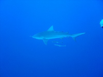 Zambezi Pinnacles.jpg